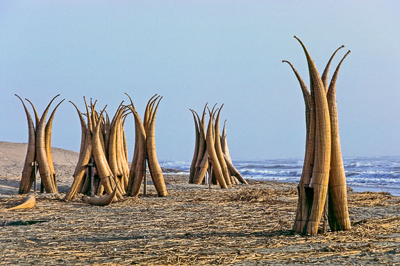 AMAZONAS_155.jpg AMAZONAS_155.jpg