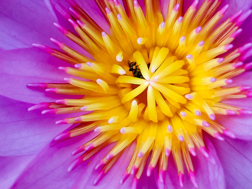 DSCN1927.jpg DSCN1927.jpg