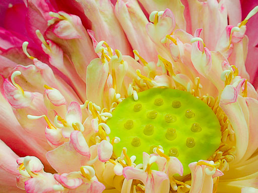 EGIMAGE_20010606043147_KoSamui_0346_Edit.jpg EGIMAGE_20010606043147_KoSamui_0346_Edit.jpg