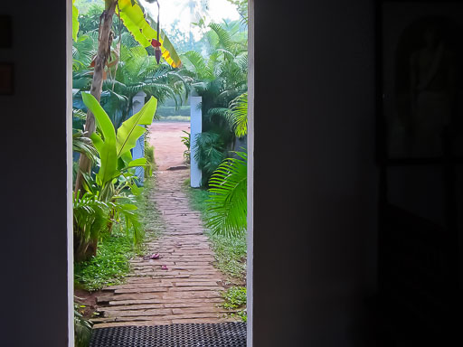 Nature path EGIMAGE_20060223025338_TheFilm_0660.jpg