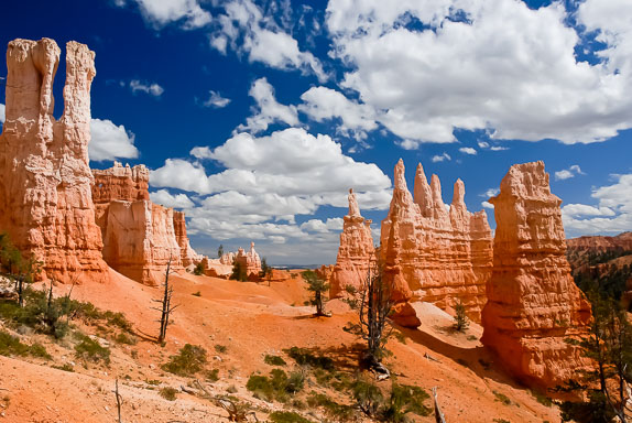 Queen Victoria's garden EGIMAGE_20070921224441_USA_07_379sel.jpg