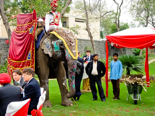 EGIMAGE_20050217112619_IndiaStateVisit_0039.jpg