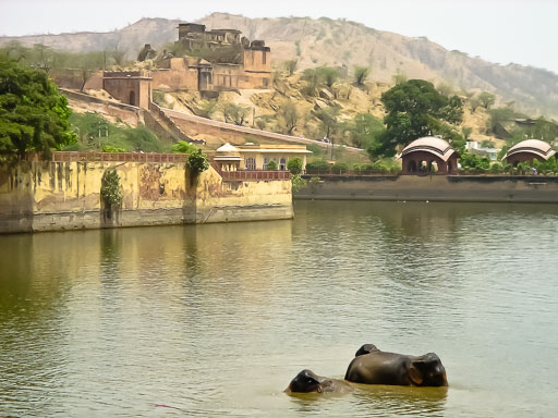EGIMAGE_20050522080747_India_0073.jpg
