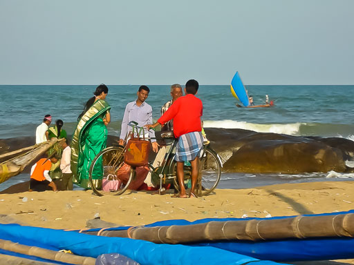 EGIMAGE_20070212123549_India_0155.jpg